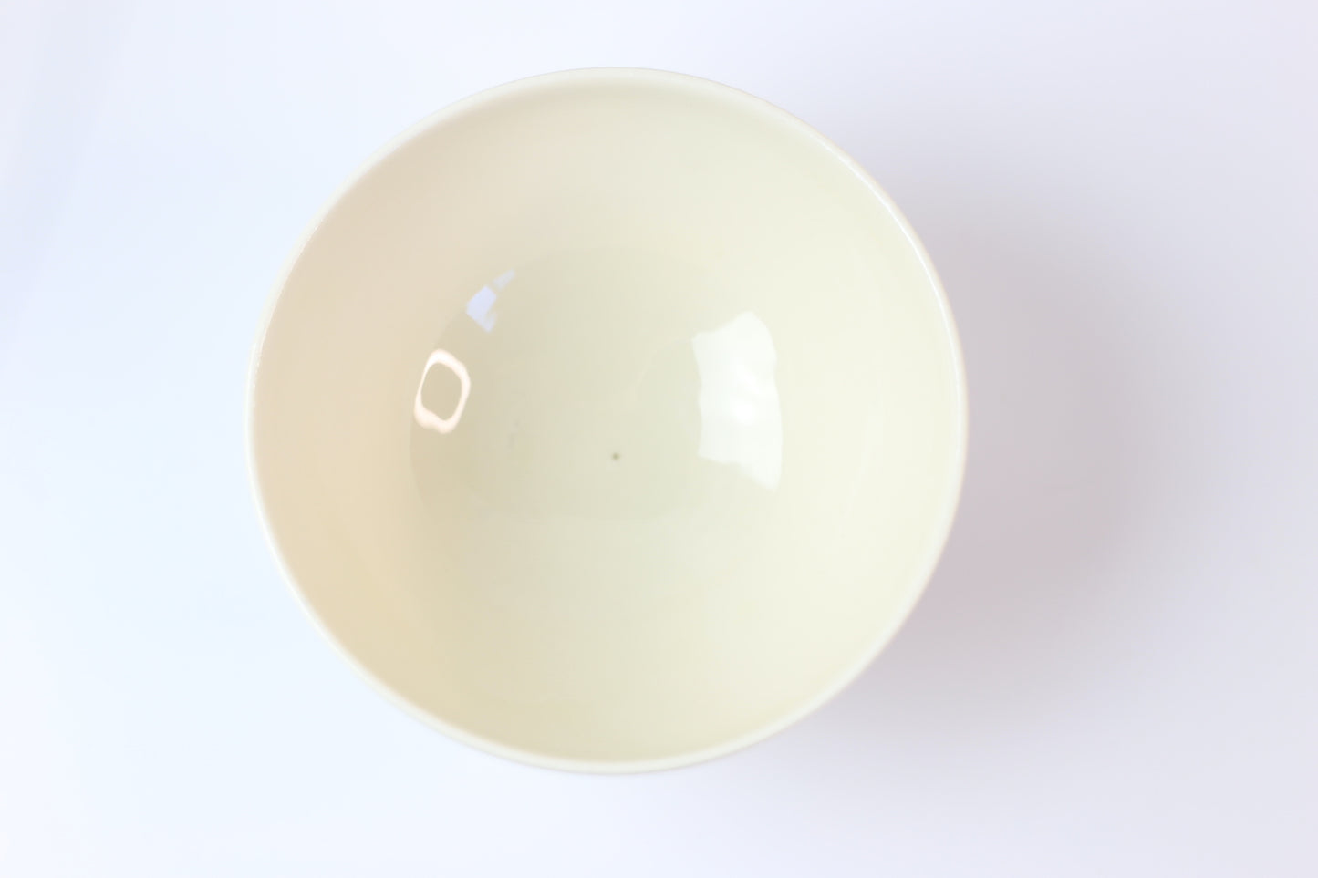 Hand-carved and painted medium porcelain bowl