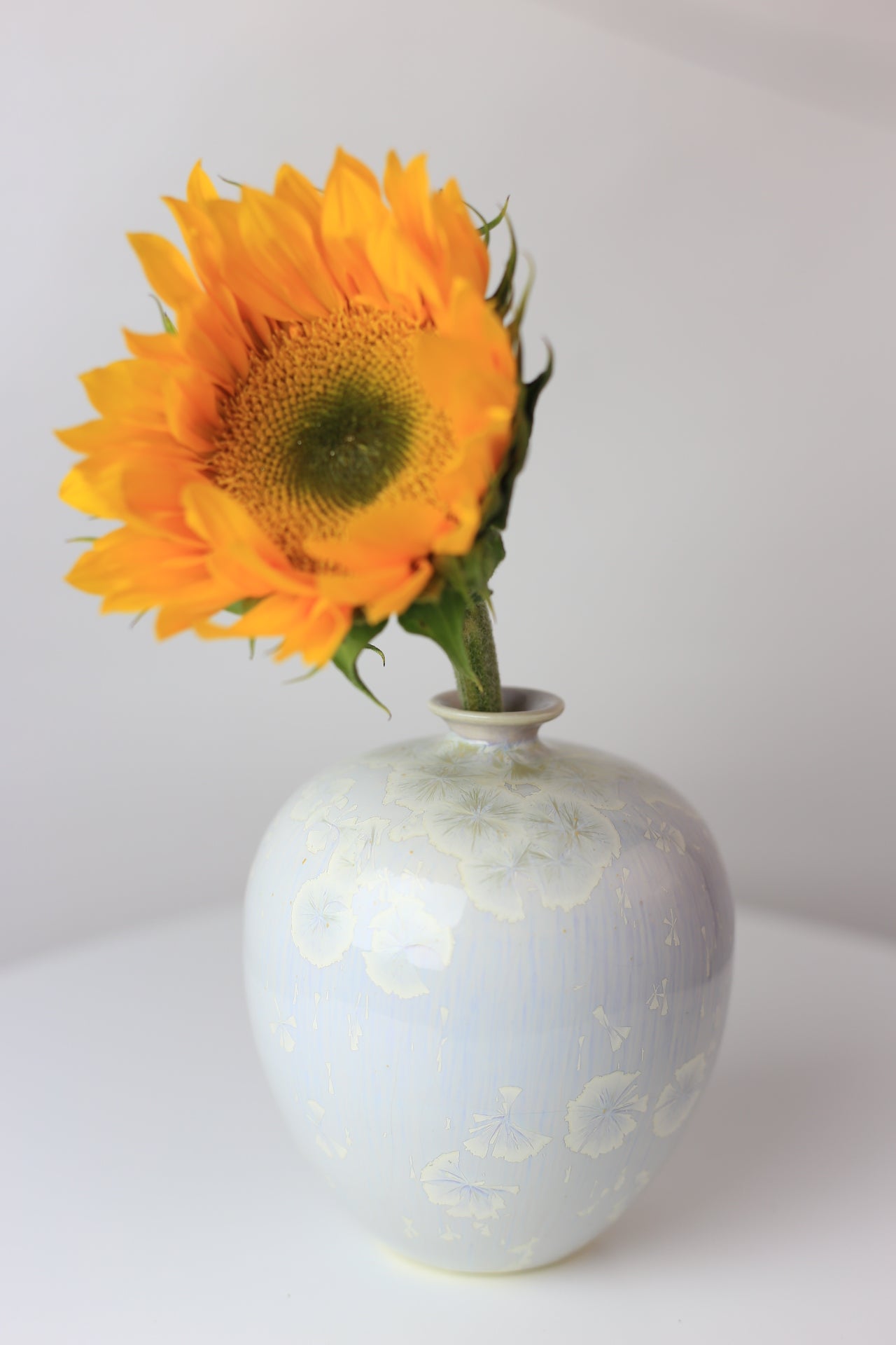 Lavender crystal porcelain vase