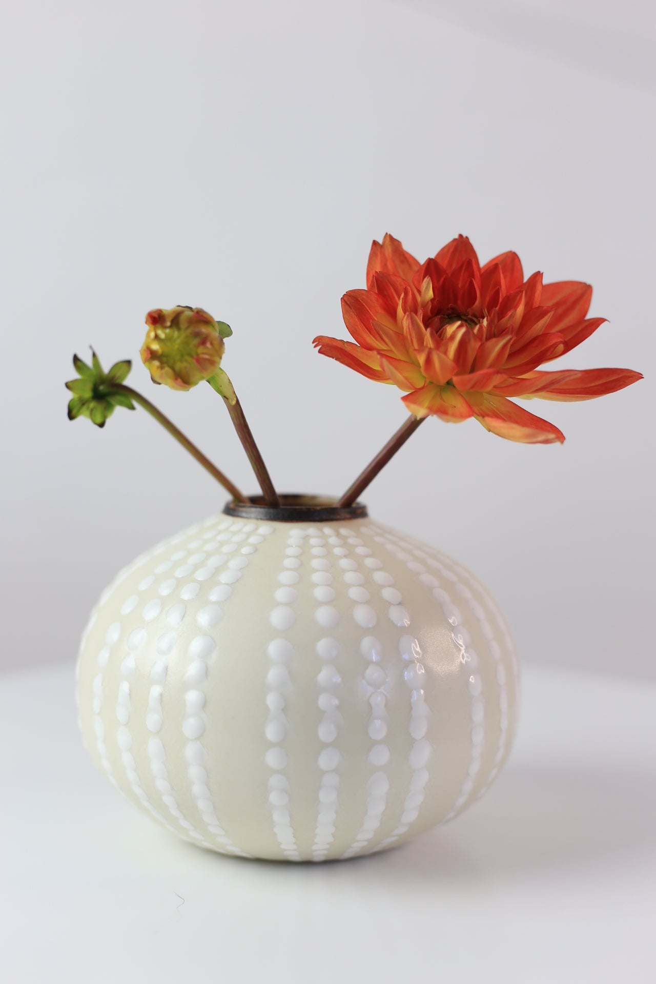 Dotted porcelain vase white
