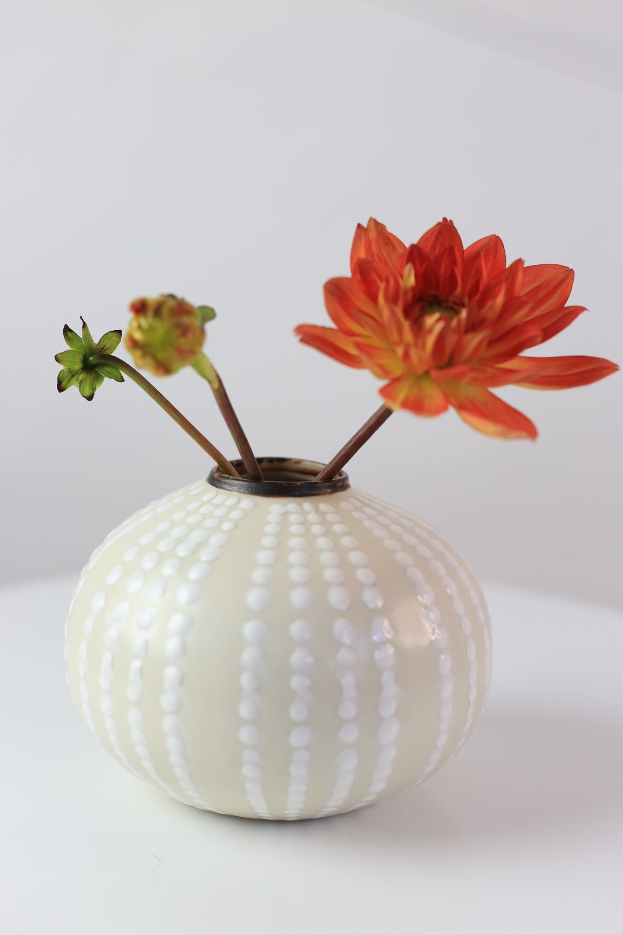 Dotted porcelain vase white