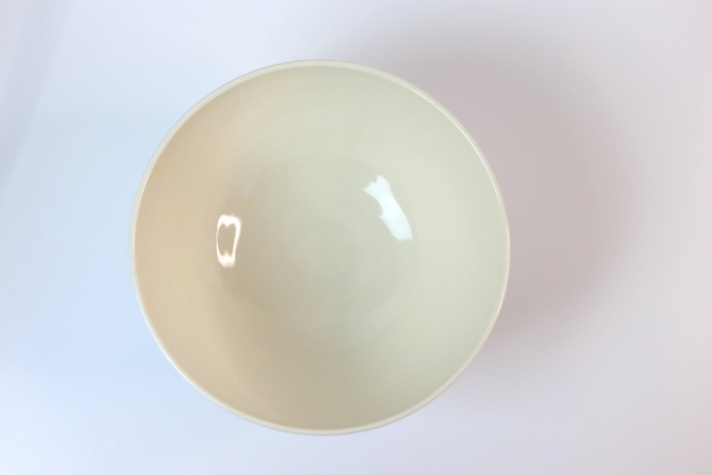 Large porcelain ramen bowl with floral carvings
